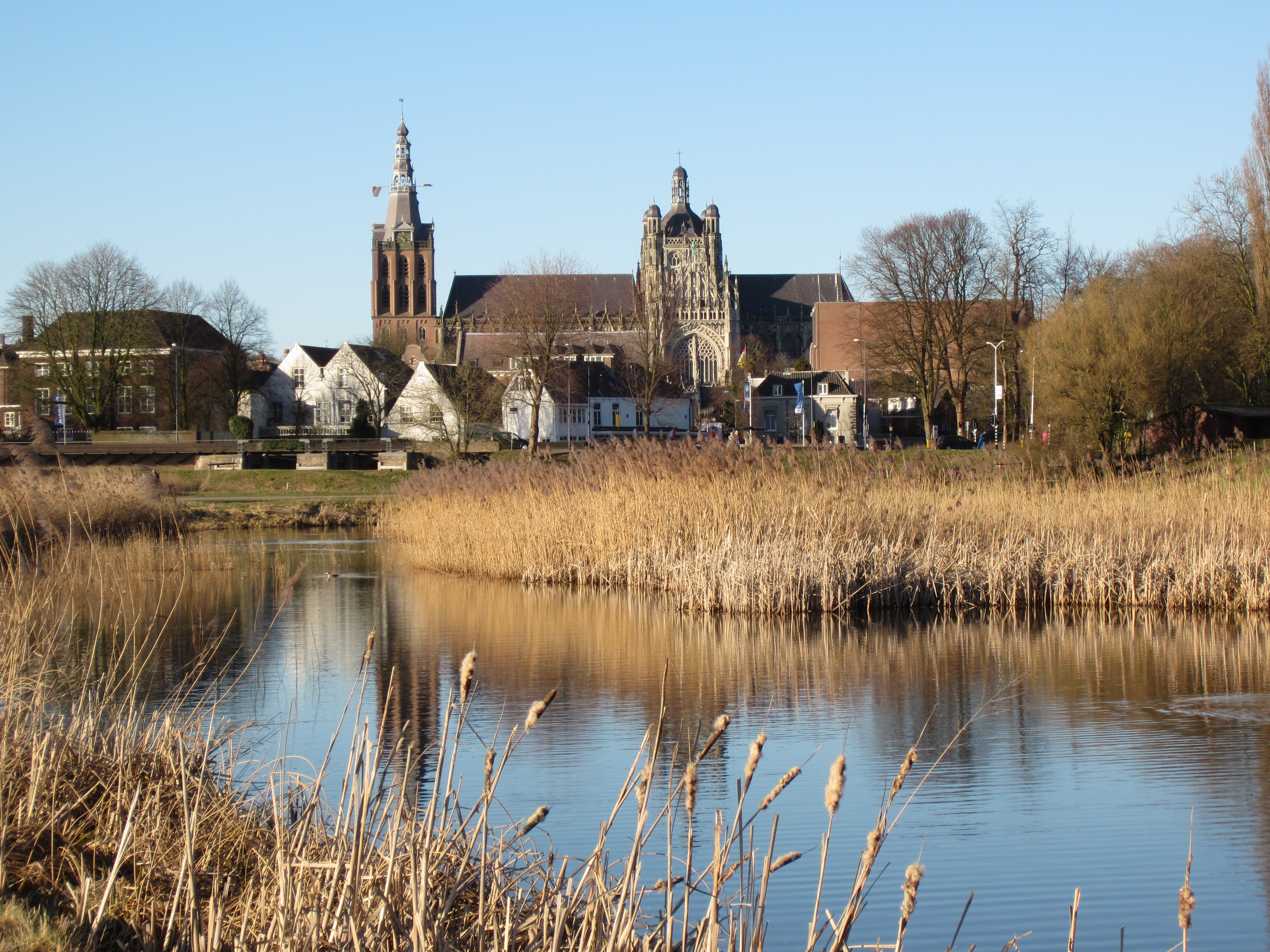 Den Bosch Sint-Janskathedraal