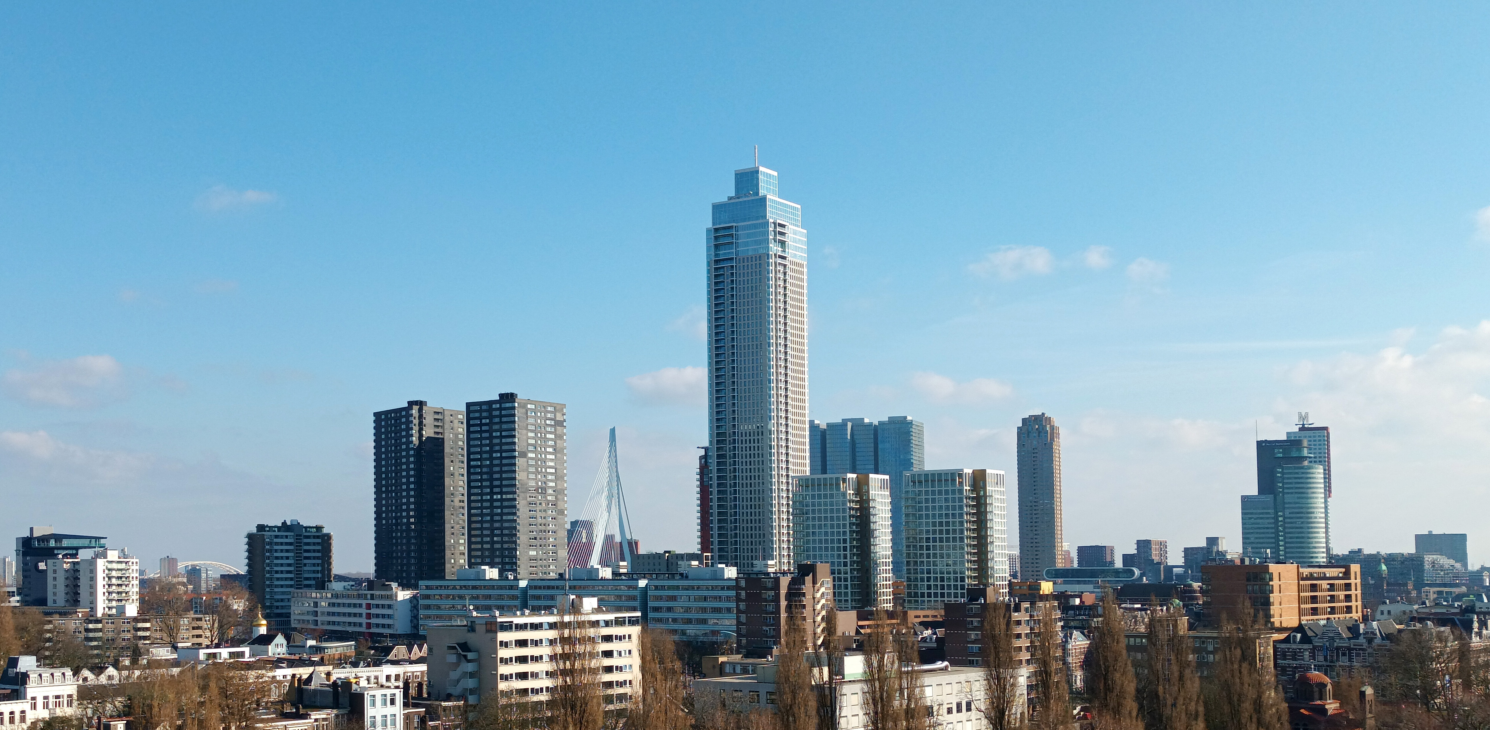 Rotterdam skyline